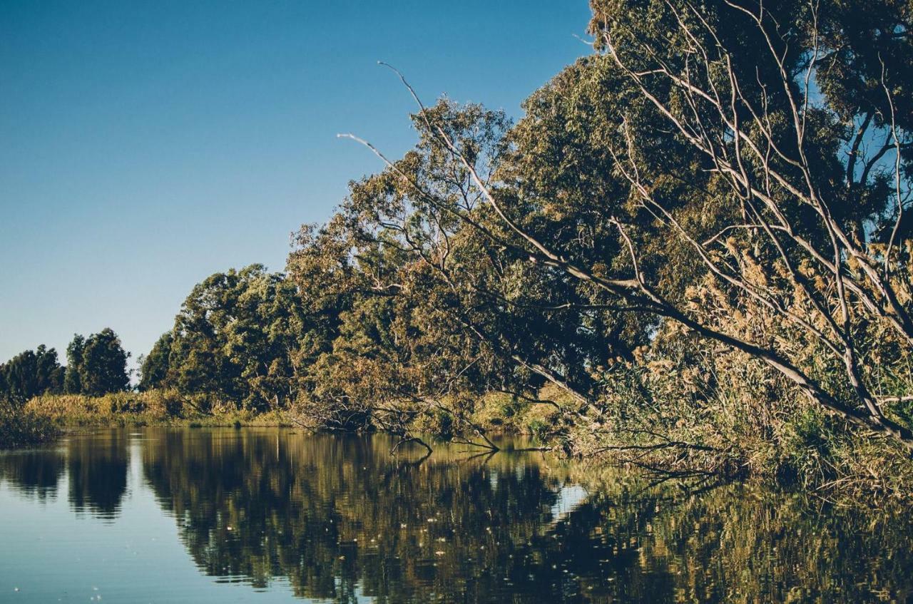 Villa Fernweh - Delta De L'Ebre リウマル エクステリア 写真