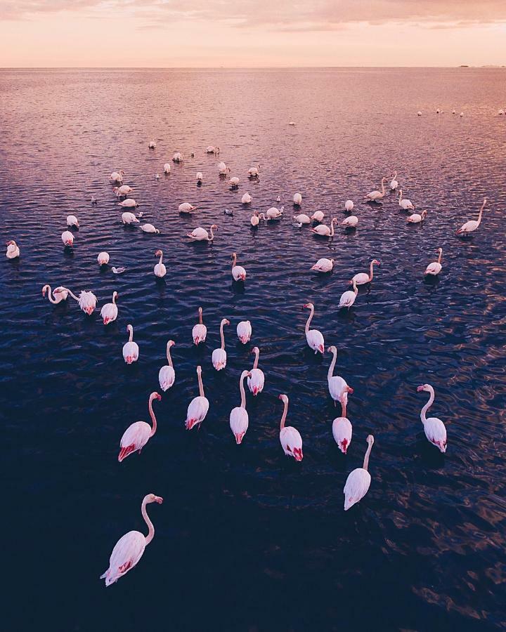 Villa Fernweh - Delta De L'Ebre リウマル エクステリア 写真